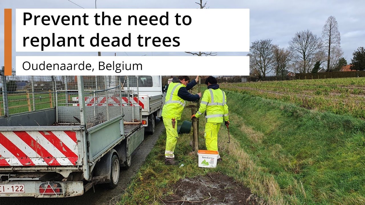 Prevent the need to replant dead trees - Oudenaarde, Belgium