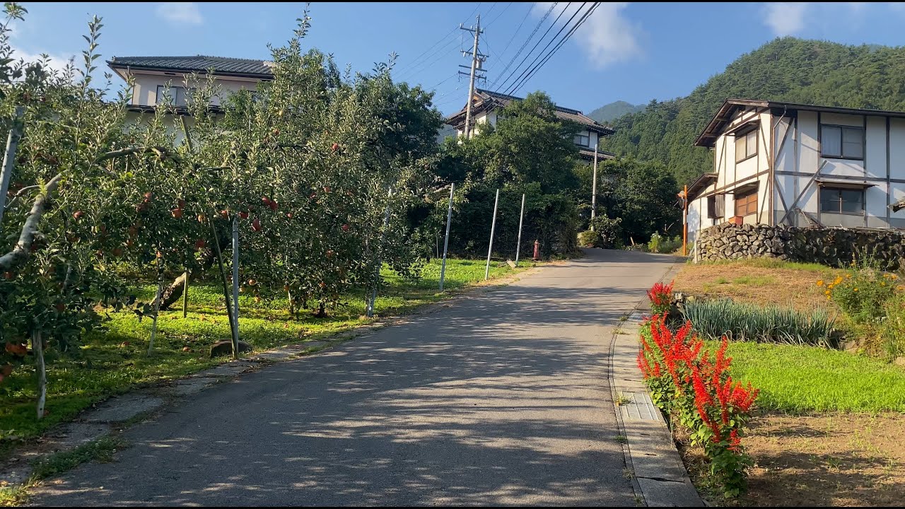 Wakahohoshina, Nagano Walk 4K