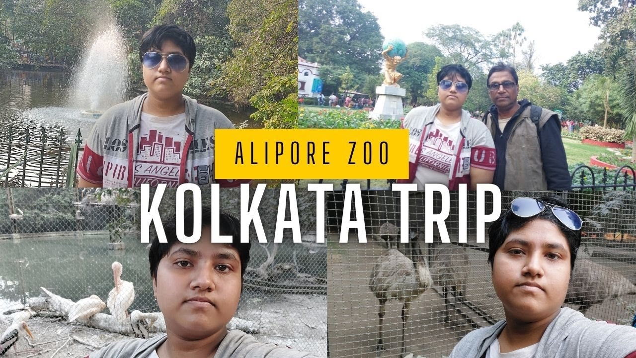 Alipore zoo | Zoological park | Kolkata trip | আলিপুর চিড়িয়াখানা | Bhramaner khoje | travel ideas|