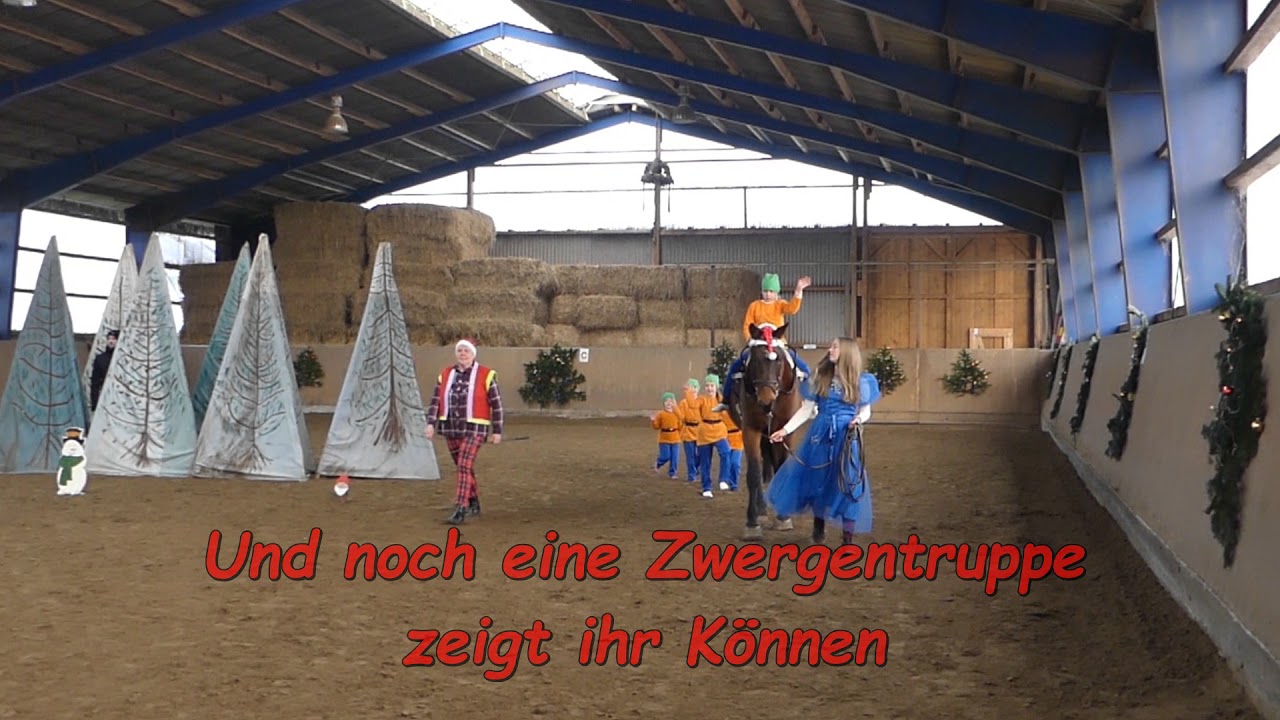Weihnachtsreiten 2017 auf dem Gestüt Tannenhof, Horst