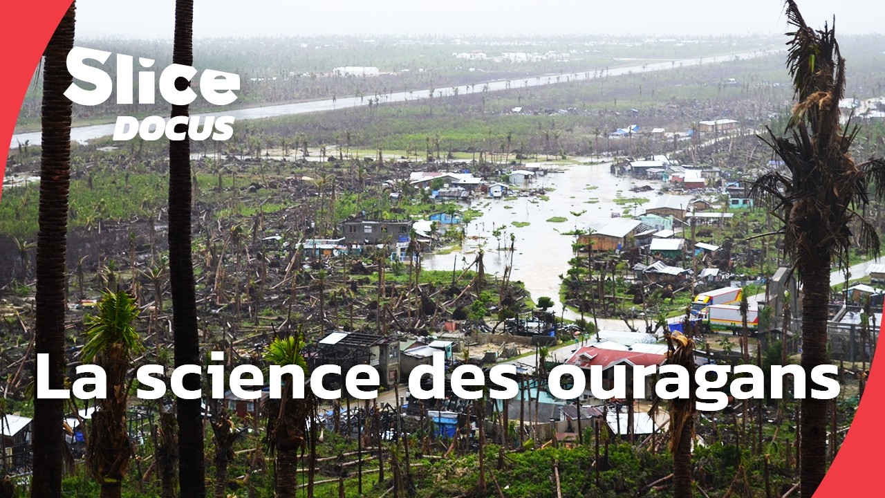 Au cœur des tempêtes | Episode 2 : l'impact des ouragans sur les écosystèmes | SLICE Docus