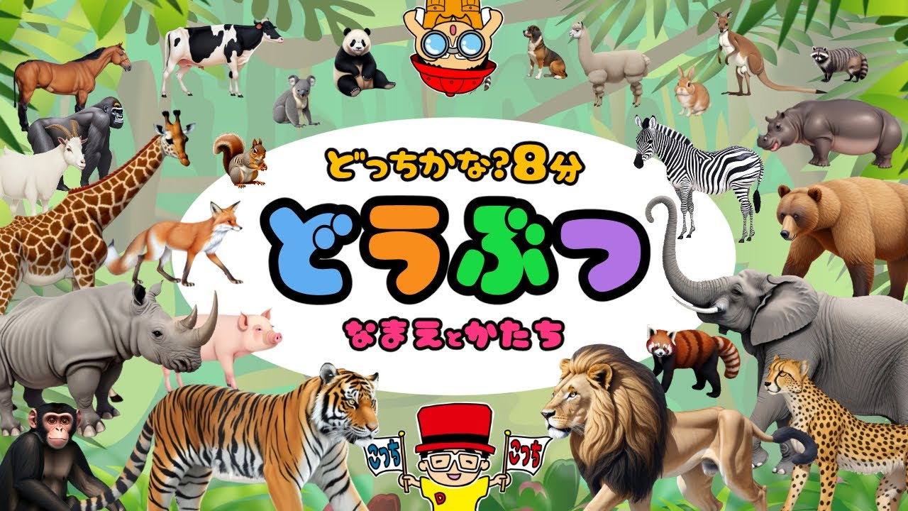 【動物の名前】どうぶつ クイズ★動物どっちかな？8分〈赤ちゃん・幼児向け 知育動画〉【パンダ キリン ゾウ ウシ サイ】サファリパーク！動物園・アニメ【Animal  kids anime】図鑑