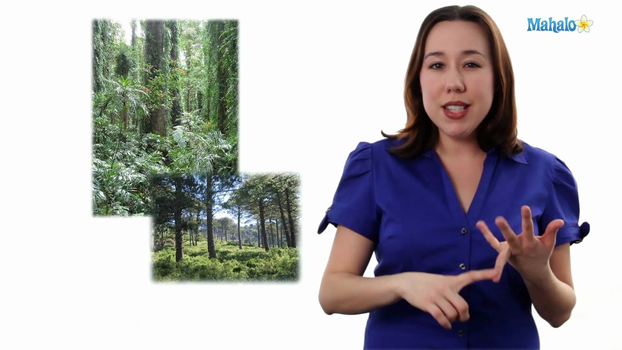 Learn Biology: Biodiversity Definition