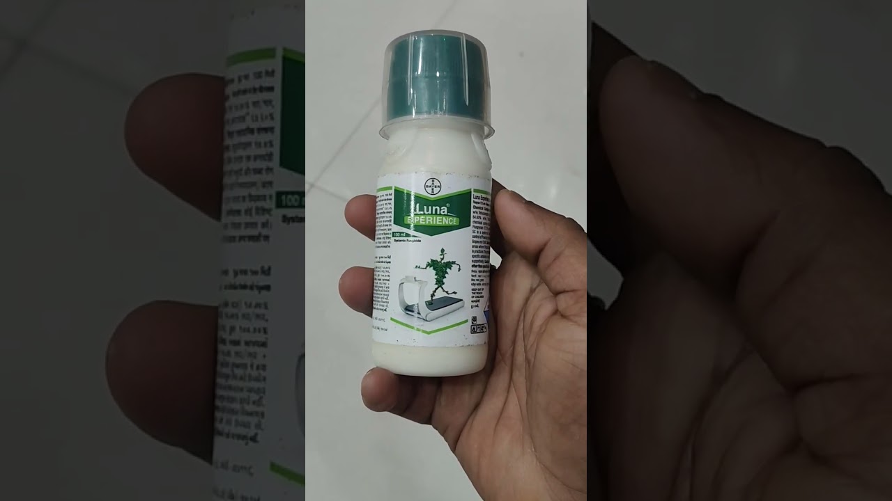luna experience fungicide bayer|systemic fungicide| #systemicfungicide #bayer #shorts