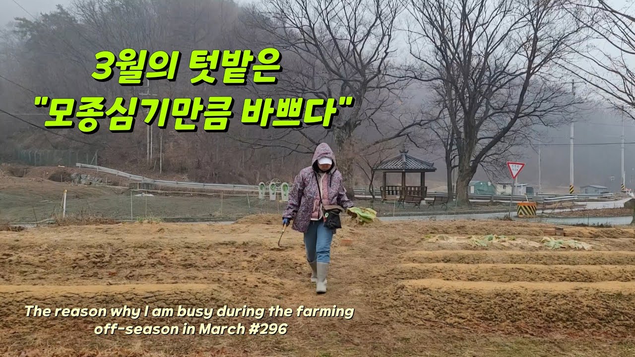 ENG | 100평텃밭에 10가지이상의 들나물🌿봄에 장작을 사는이유🪵우리부부가 행복부부?🎂건강한 훍을 위한 우리의방법#시골일상 vlog 