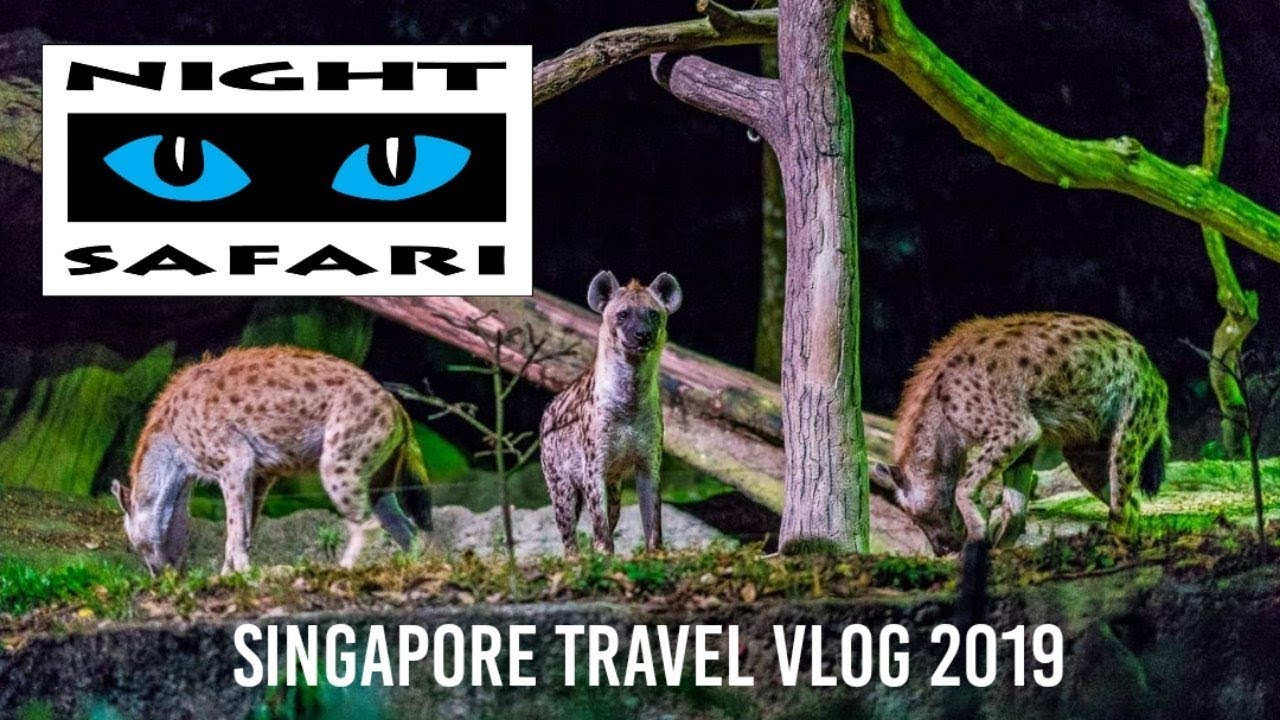 Singapore Night Safari 2019 | World's First Nocturnal Zoo