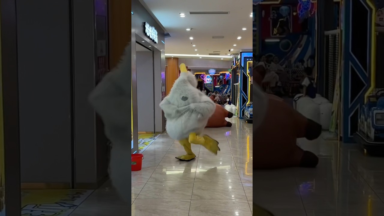 NEVER BACK DOWN NEVER WHAT?? 😂#duck #capybara