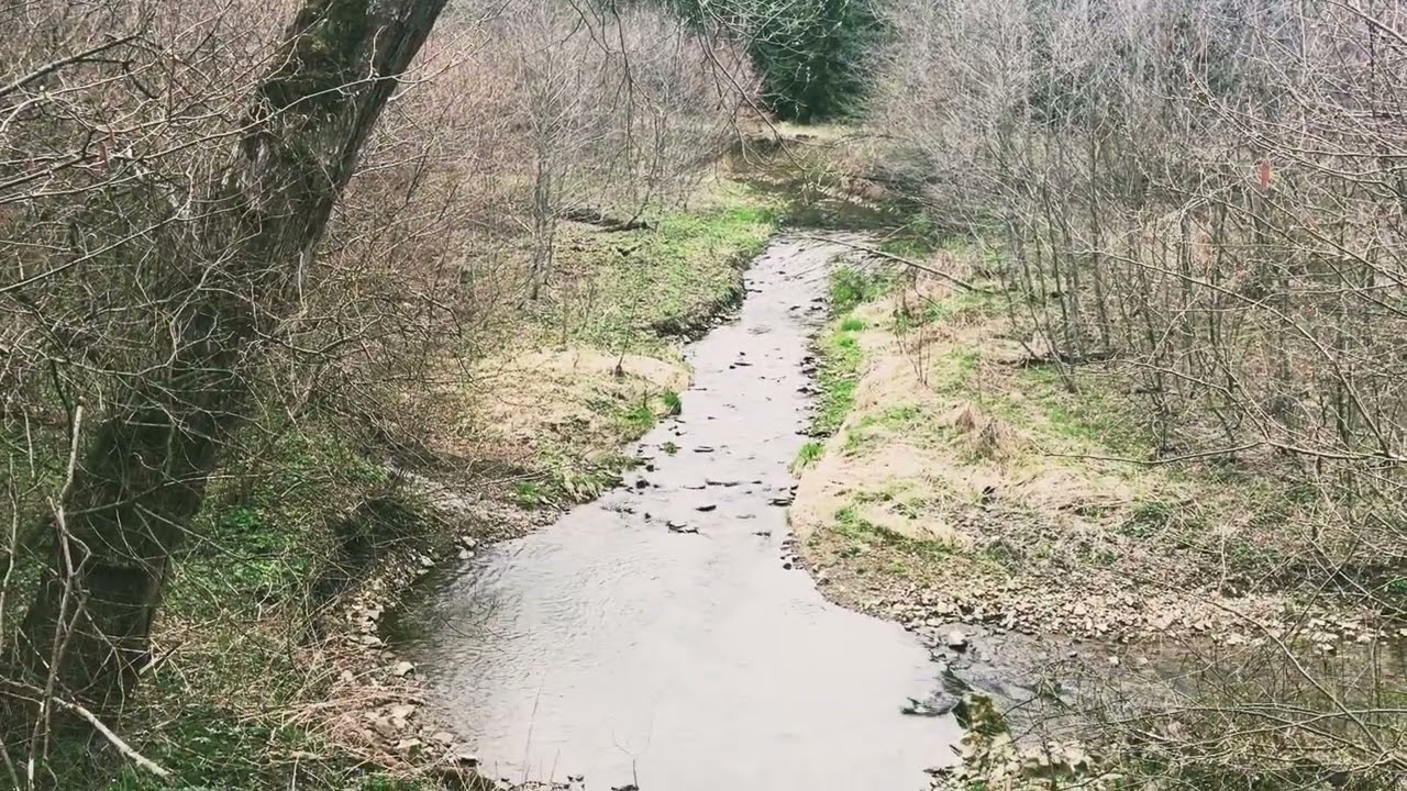 Jamna Dolna. Jamna G&oacute;rna. Dolina Orł&oacute;w. Okolice Arłamowa.