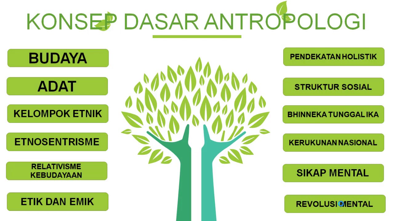 ANTROPOLOGI X pengantar antropologi PART 1