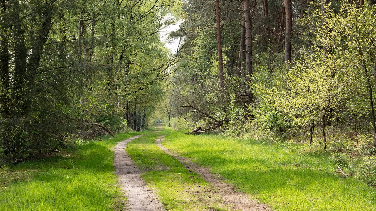 Wandelen vanuit Hilvarenbeek