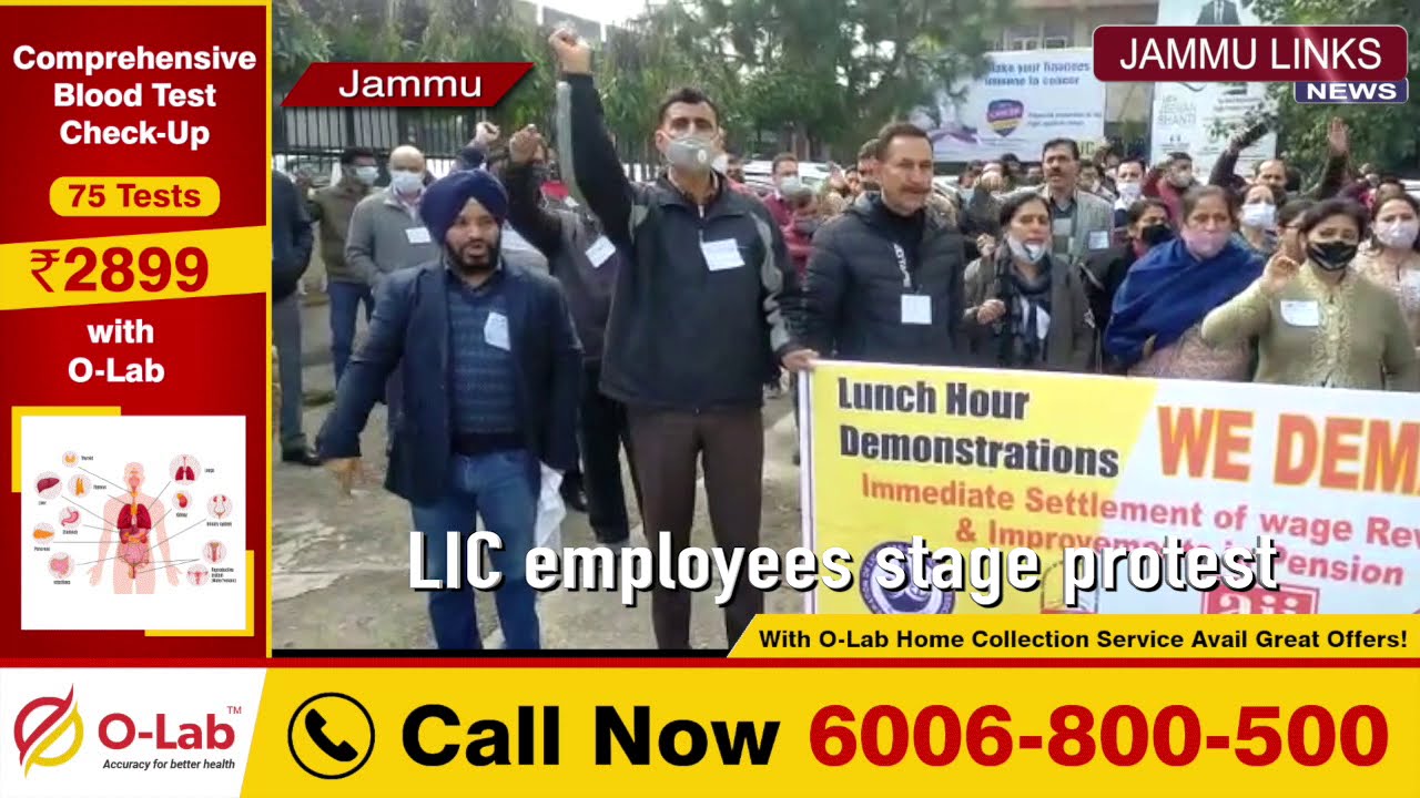 LIC employees stage protest