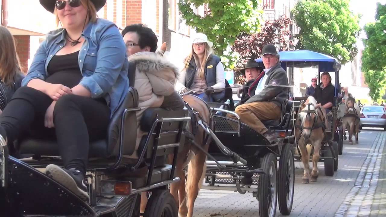 Kutschenkorso zur Kutschenwallfahrt mit Pferde und Kutschen in Telgte 2015