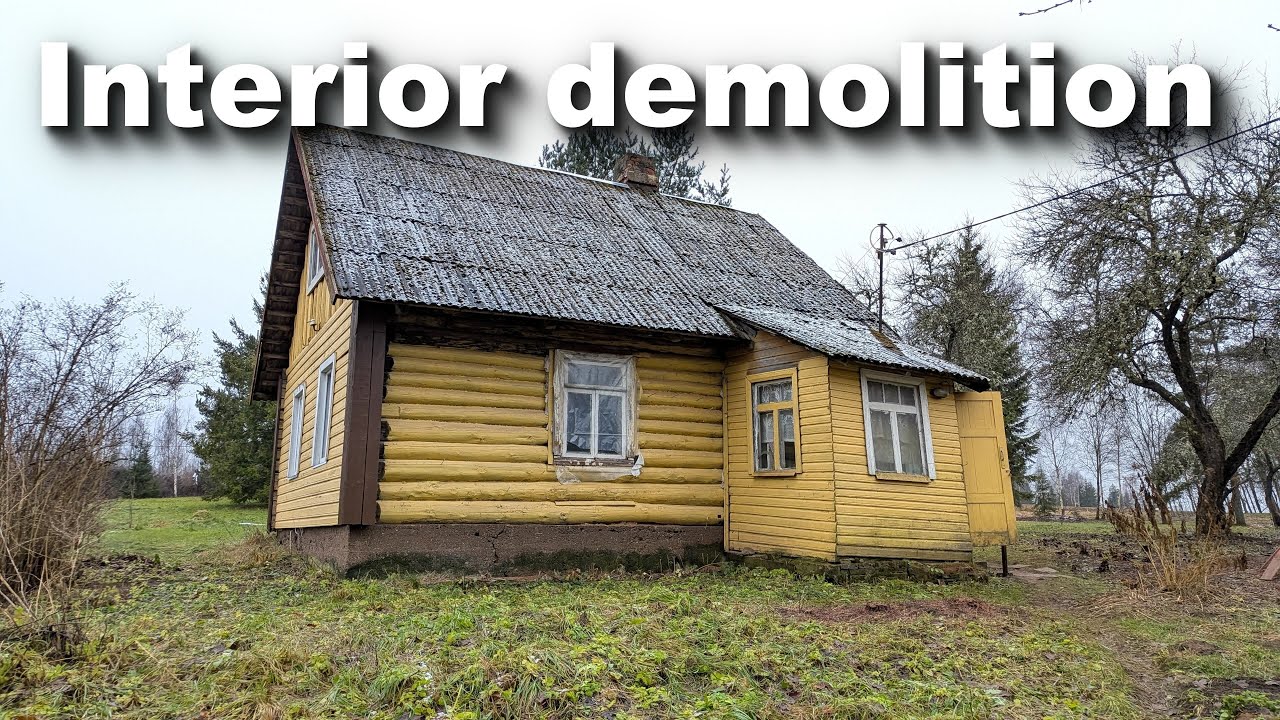I Bought a 100-year-old Log House and Stripped it to the Bones (Log House Ep. 5)