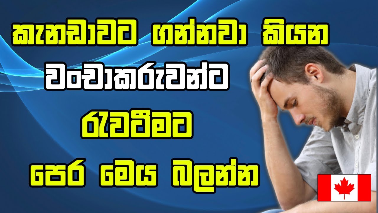 මම කැනඩාවට ගන්නවා කියලා වංචාවකට අහු උනා අන්තිමට සල්ලිත් නෑ කැනඩා යන්නත් නෑ | Canada job offer scams