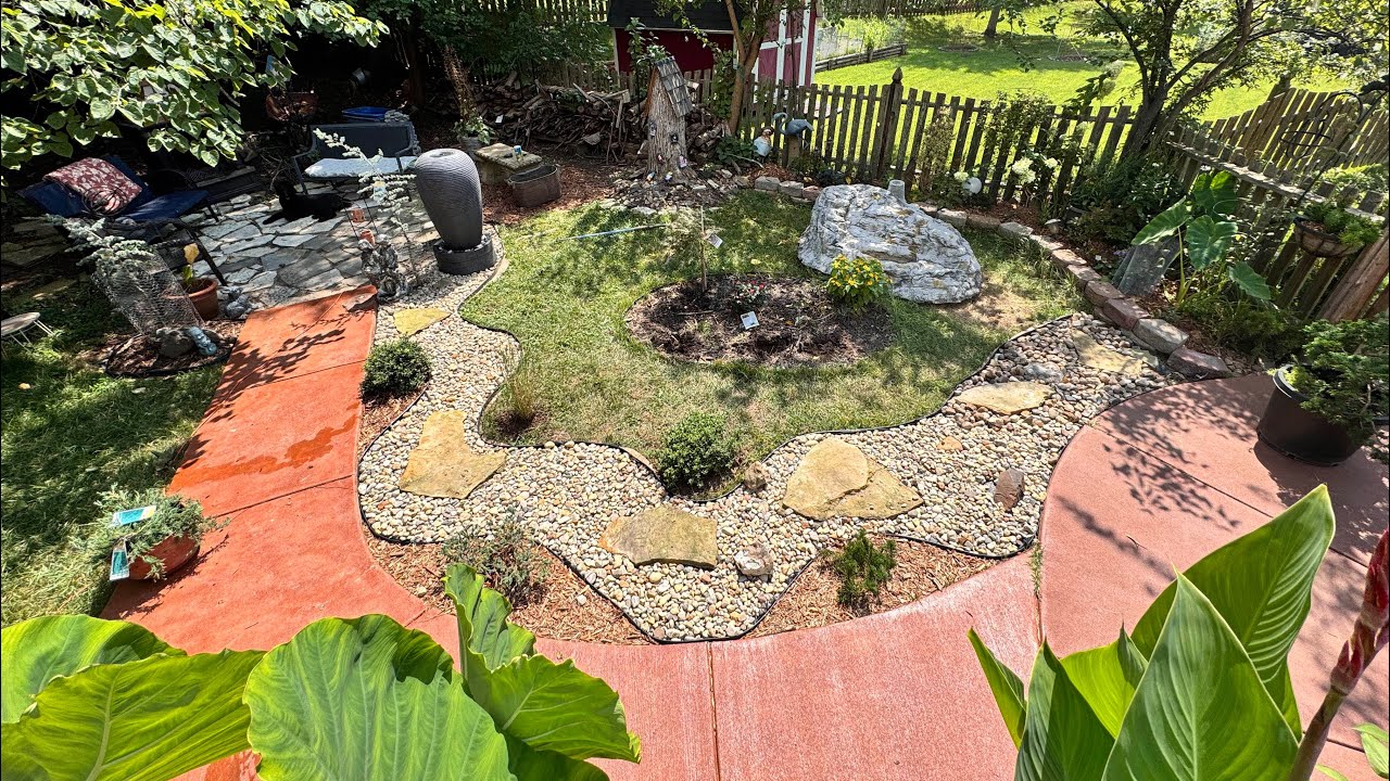 Transforming my bored lawn into a Zen Garden. Part 1. August 16, 2025