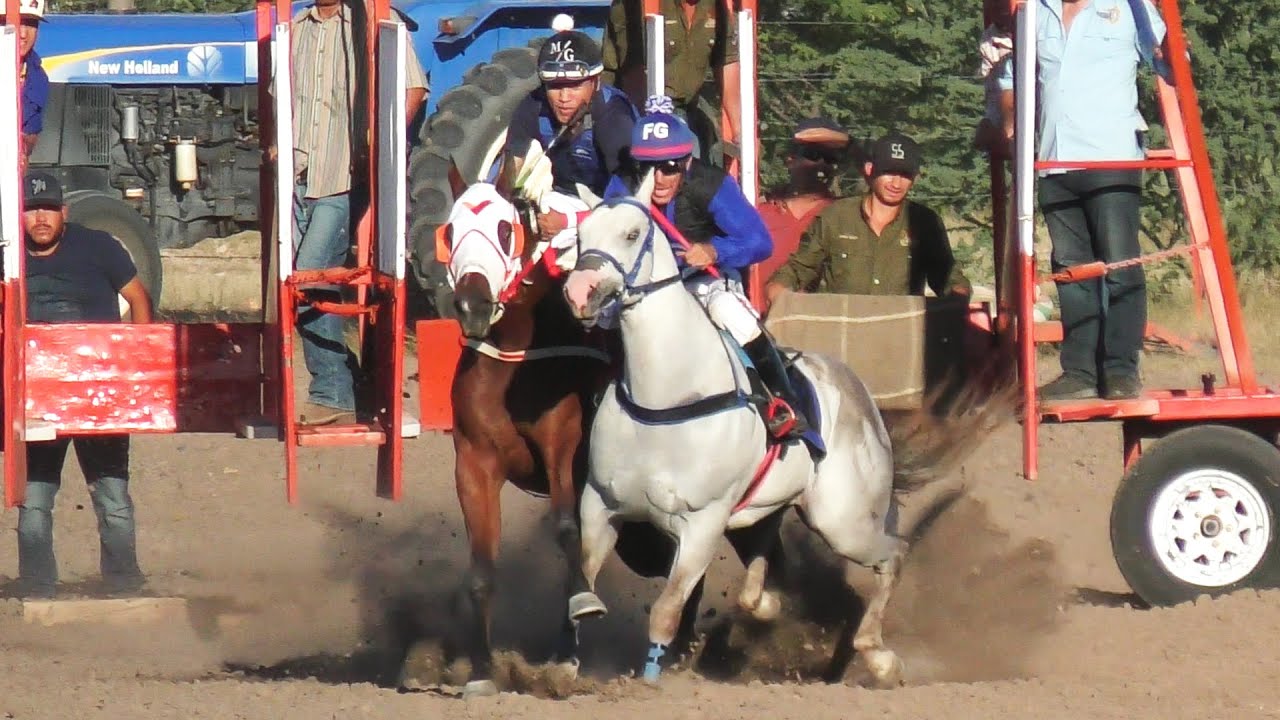 Carreras de Caballos en Mazatan, Sonora 25 de Octubre 2025