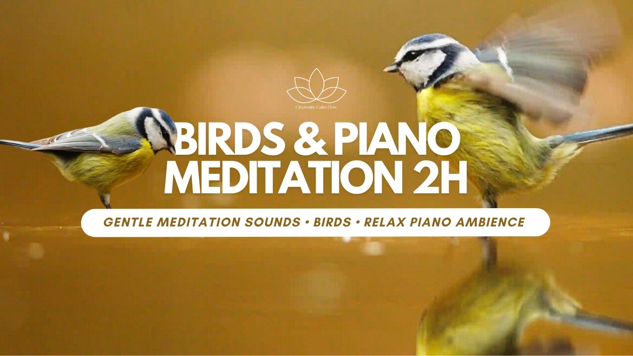 Gentle Piano & Bird Sounds 🌸🎹 | Relaxation, Inner Peace & Calm