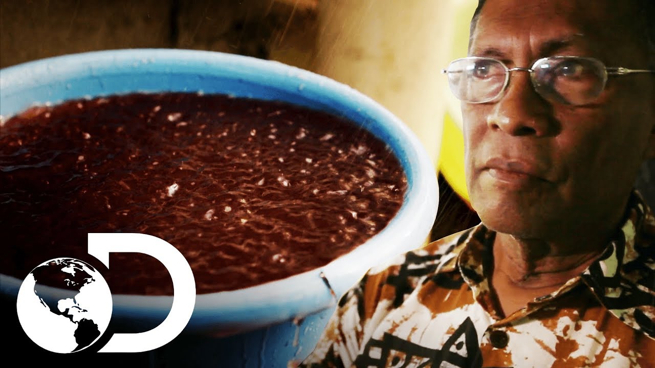 Chuva de sangue | Histórias Inacreditáveis | Discovery Brasil