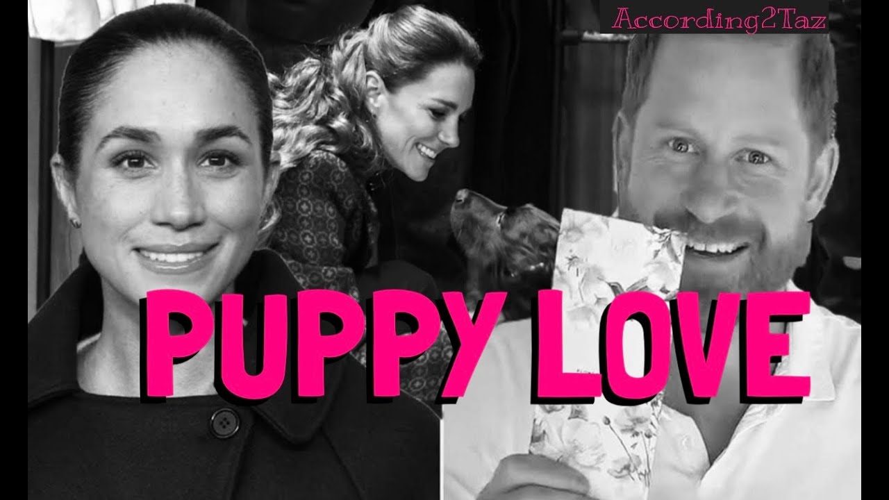 PUPPY LOVE - When He's A Good Boy He Gets Some Chocolate