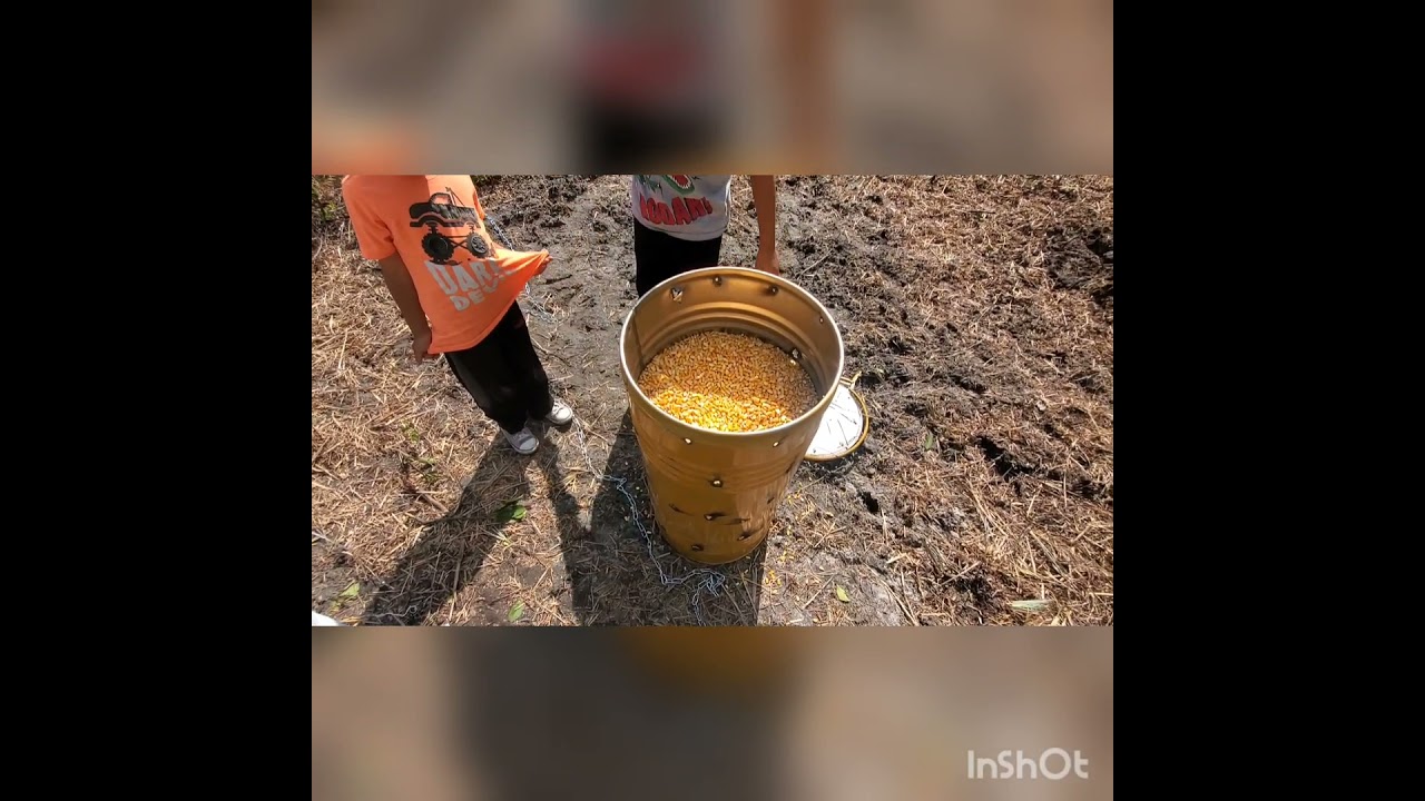 A cheap easy bear proof feeder