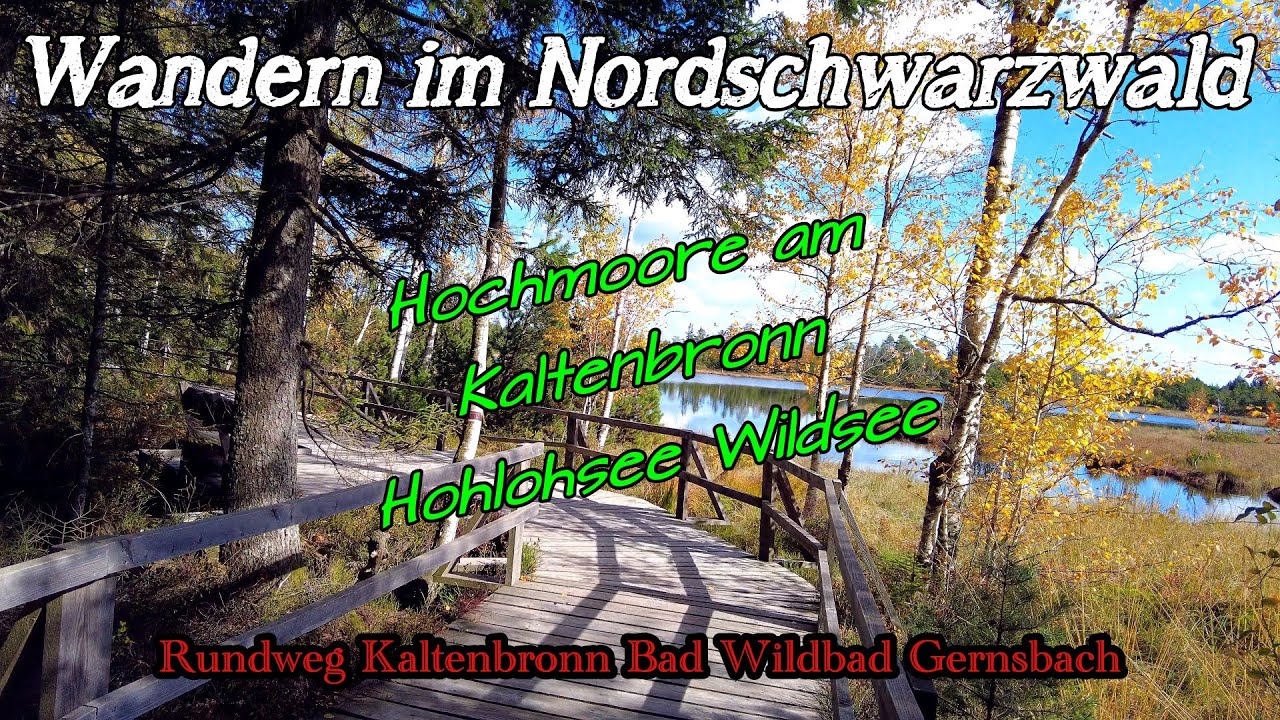 Zu den Augen des Nordschwarzwald | Die Hochmoore am Kaltenbronn Hohlohsee Wildsee | Schwarzwald | DE