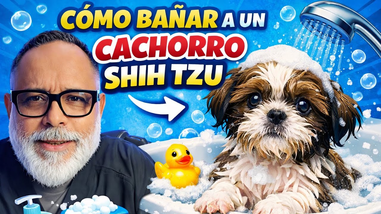 Cómo BAÑAR a un PERRO CACHORRO por PRIMERA VEZ | La Casita de los Shih Tzu