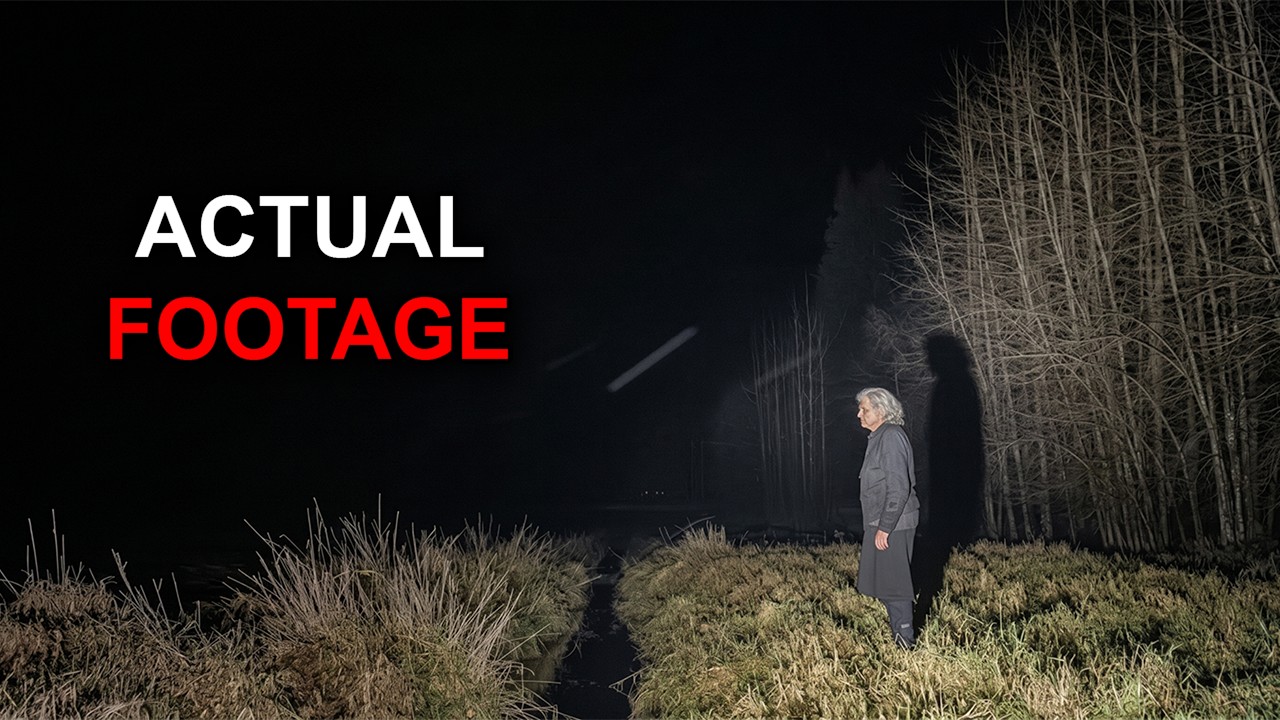Most Chilling Camping Encounters Ever Filmed