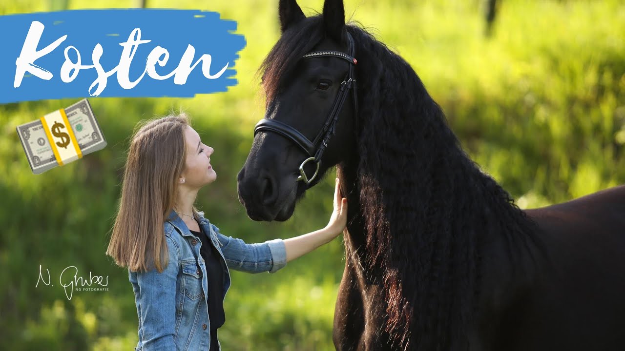 WAS KOSTET EIN PFERD? | monatliche Kosten + eure Erfahrungen | Pilsali