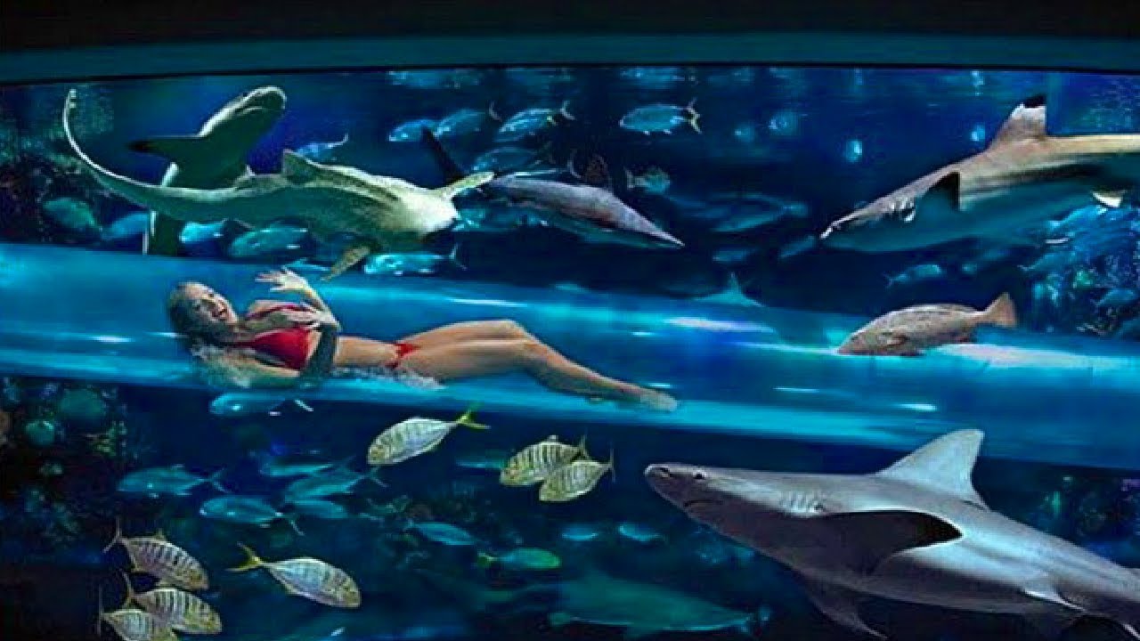 Top 10 Most AMAZING Pools In The World!!