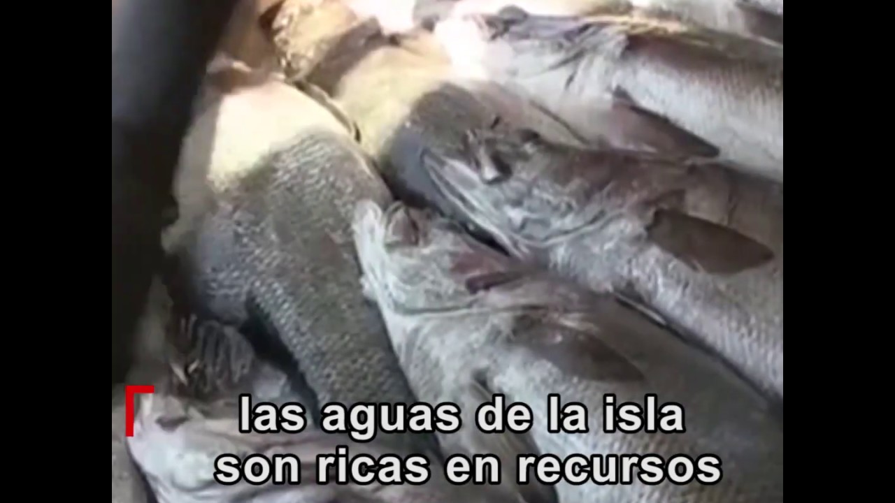Migingo, una isla peque&ntilde;a y superpoblada|CCTV Espa&ntilde;ol
