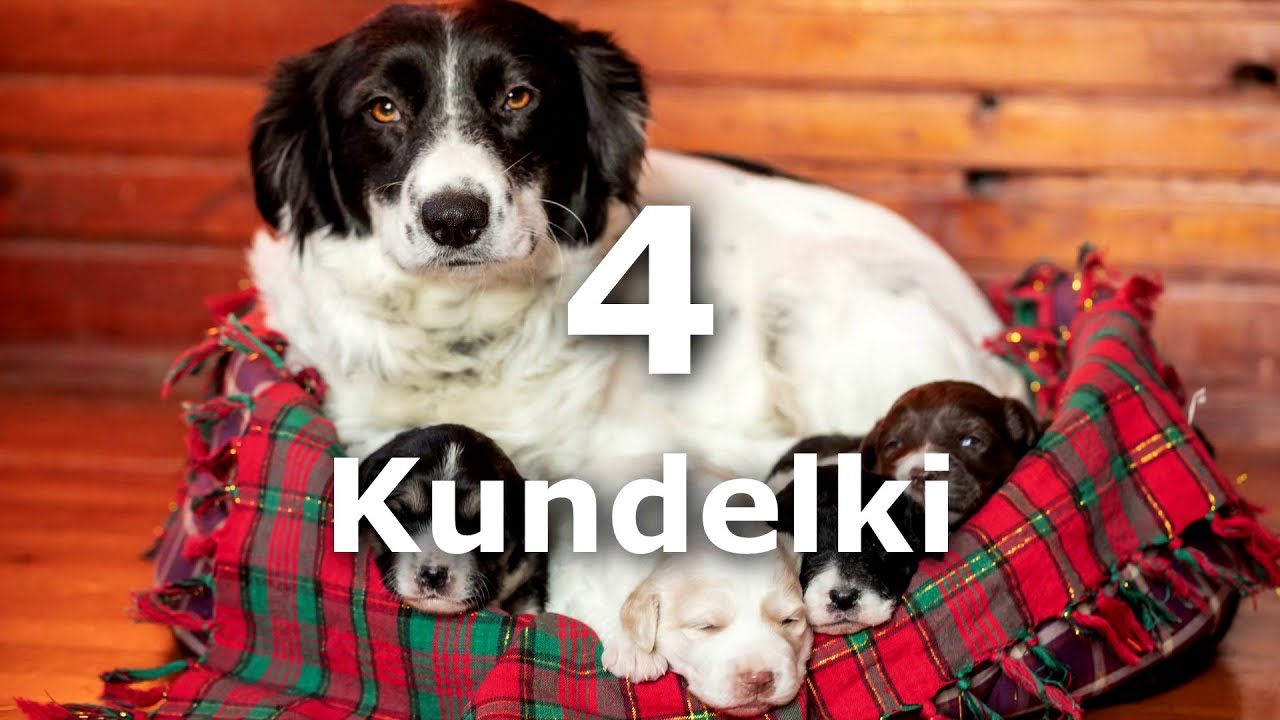4 Kundelki