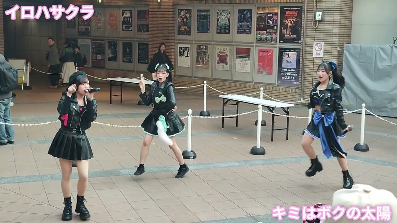 イロハサクラ / キミはボクの太陽 (2026/01/17)