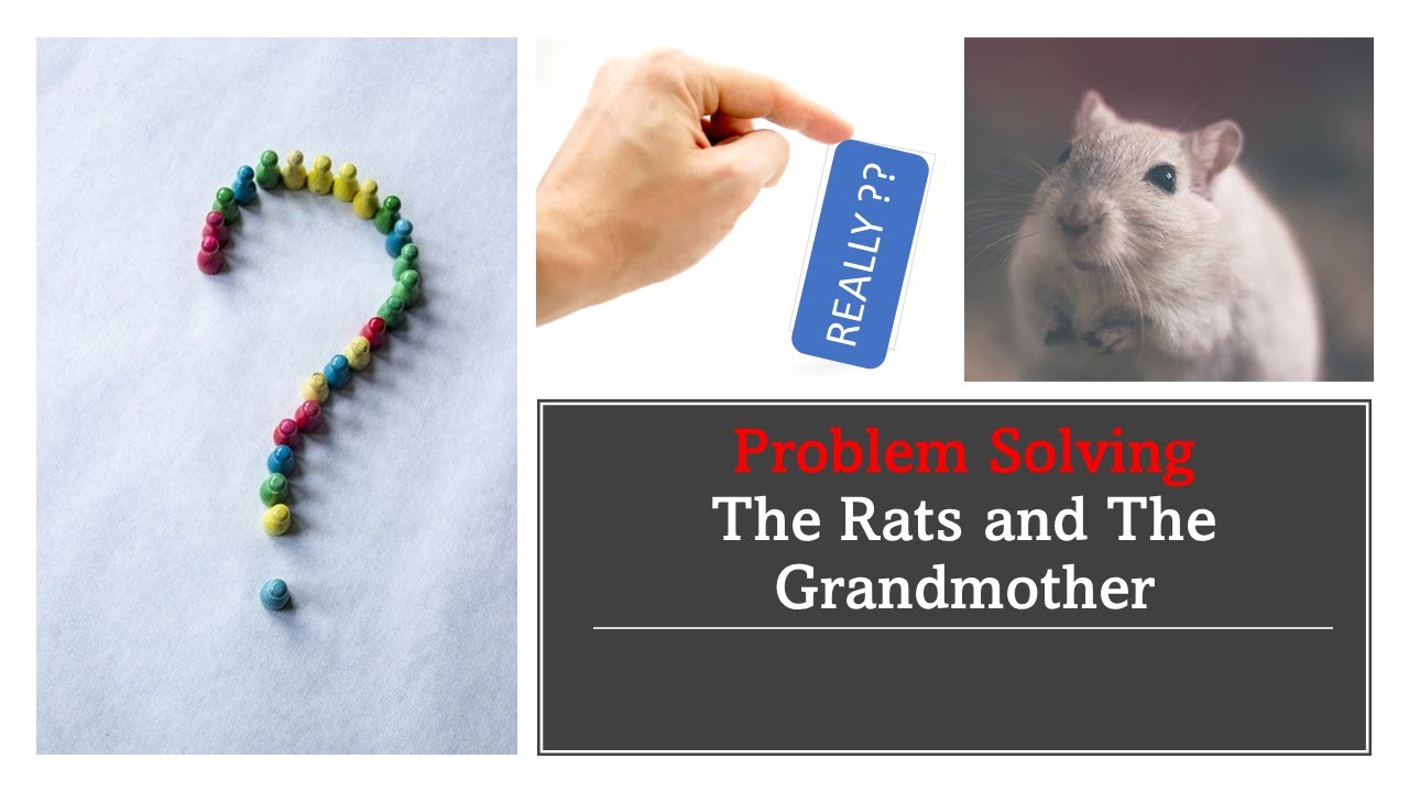 Problem Solving - Out of the Box Thinking - Rats and the Grandmother
