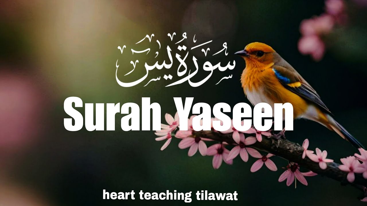 Surah Yasin Full | Heart Touching Recitation | Peace & Blessings