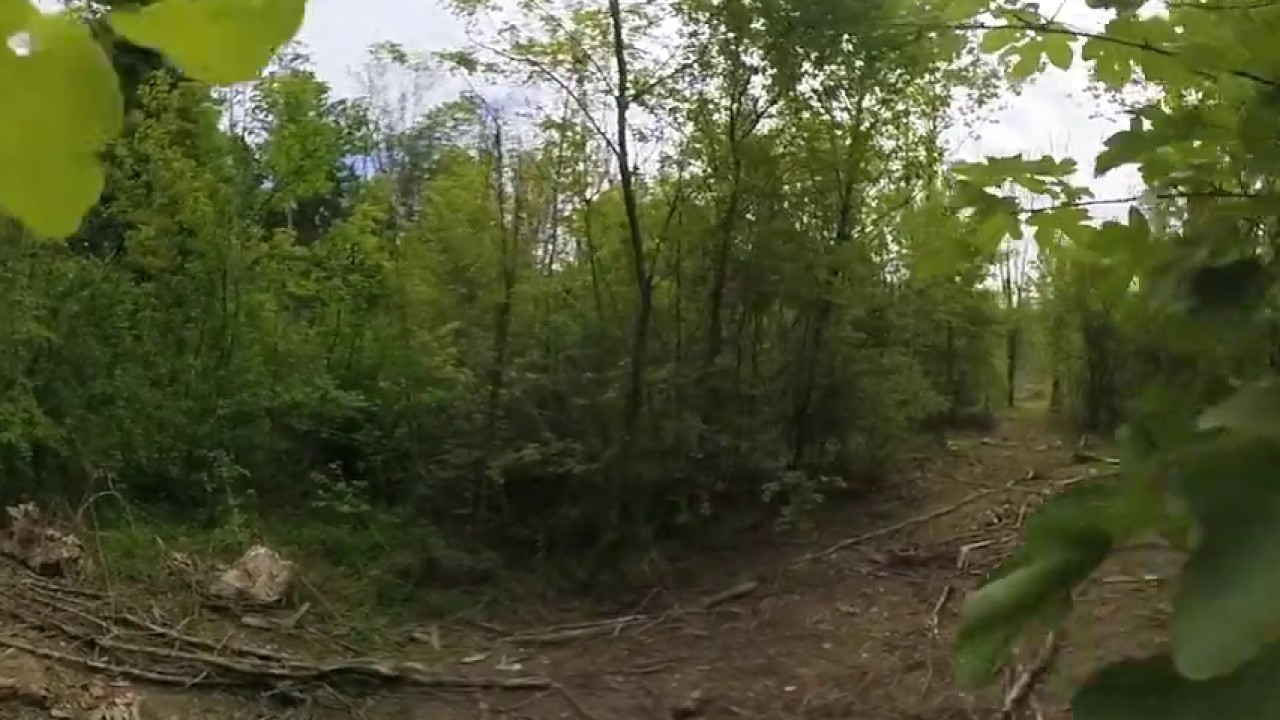 France, Verdun: Walking around Hill 304 (Cot&eacute; 304)