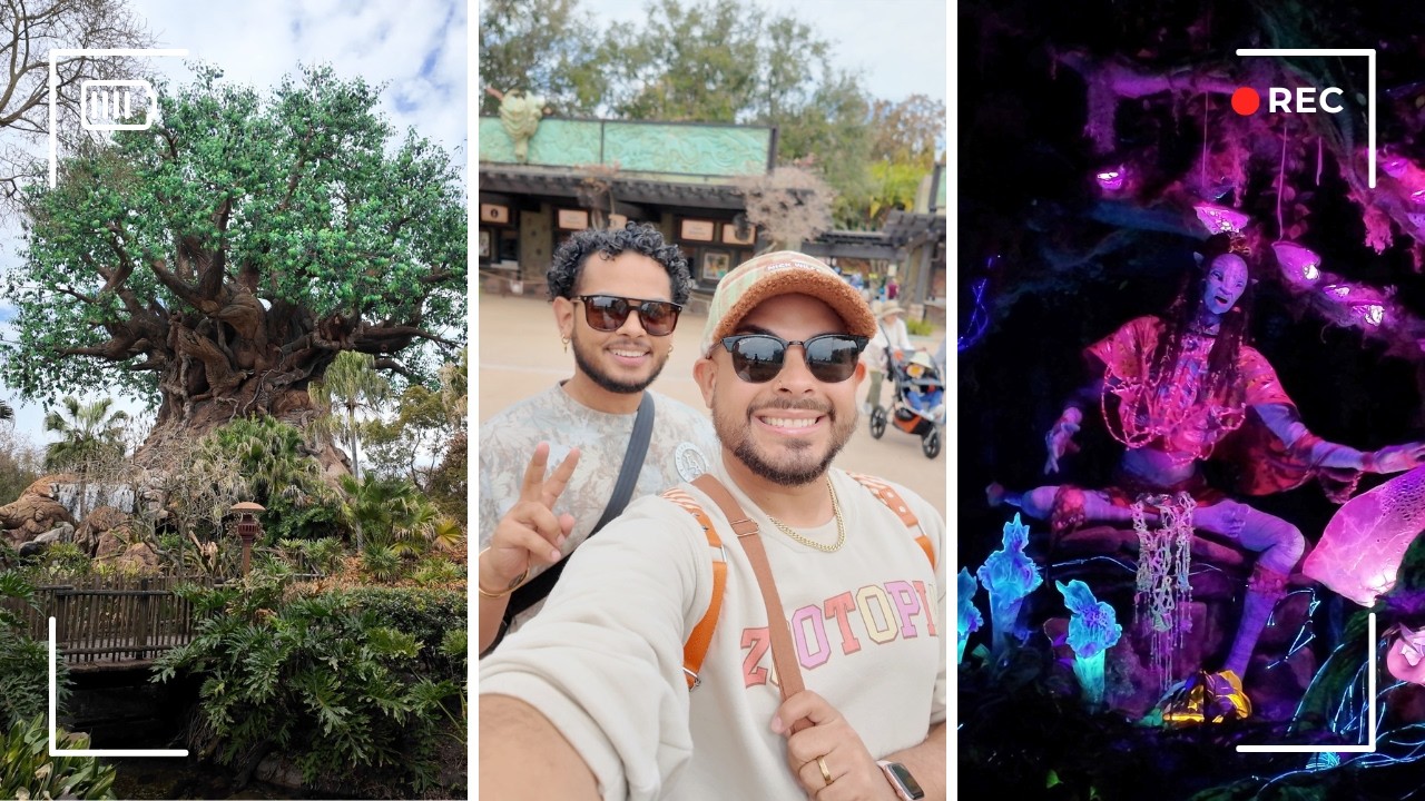 Animal Kingdom Might Be My Favorite Park - February 2026