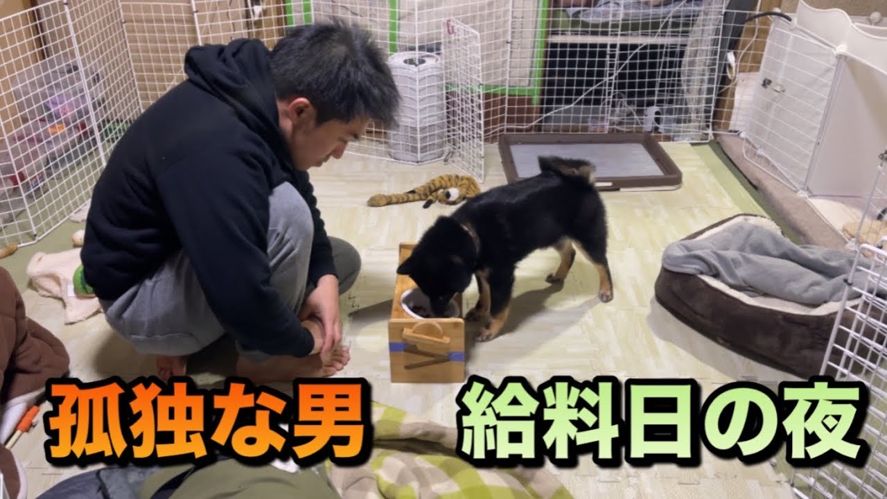 孤独な男　25歳　給料日の夜の過ごし方