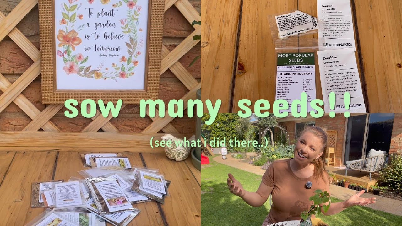 Planting Pumpkins, Zucchini, Cucumbers, Beans and MORE!! PLUS sweet potato slips! October 2025 #seed