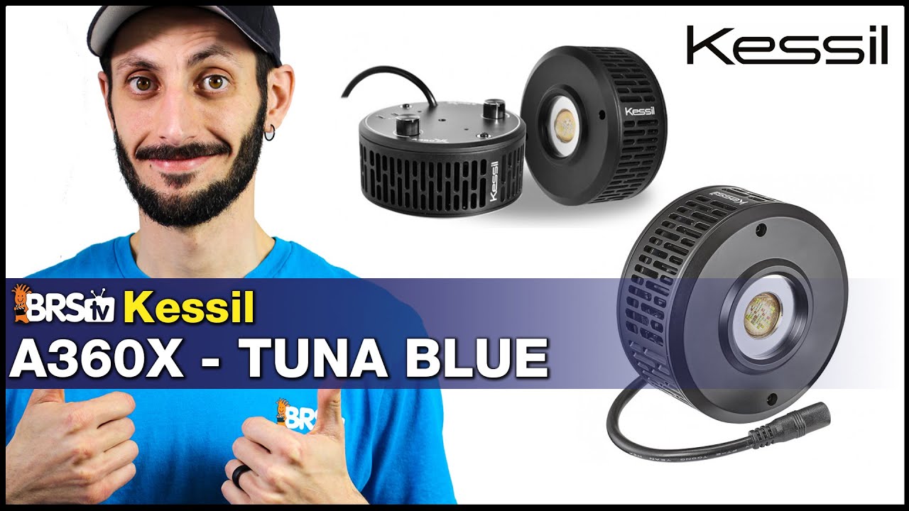 Kessil's A360X is a reef tank lighting dream: Easiest setup; widest spectrum & exceptional shimmer.