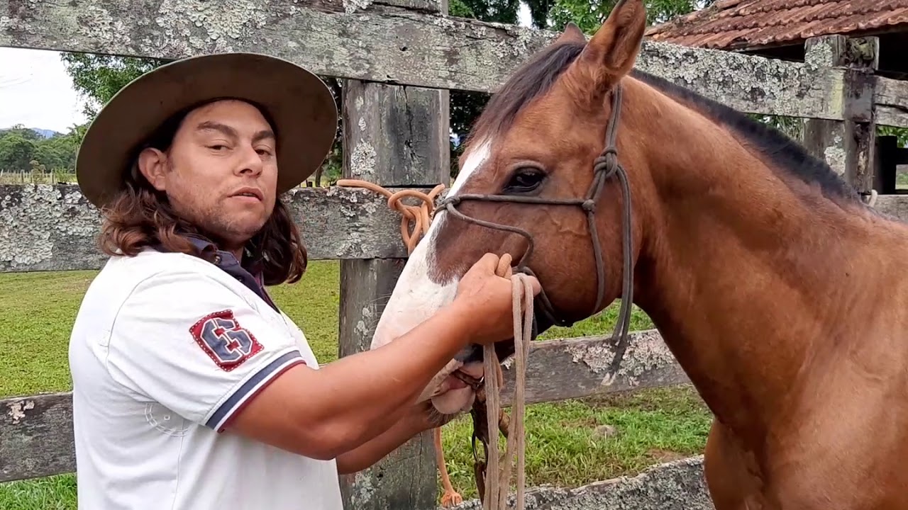 Bocal ferramenta de início da Doma