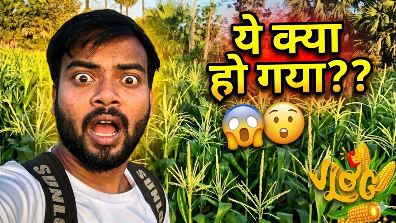 Aj to ghar pe bahut kam kiya mr p vlogas #comedy #farming #vlog #mr p vlogas#souravjoshivlogs 