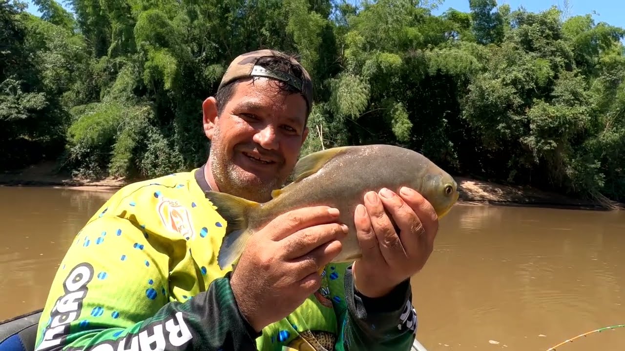 Pegamos muitos peixe nessa pescaria #Rio Miranda 