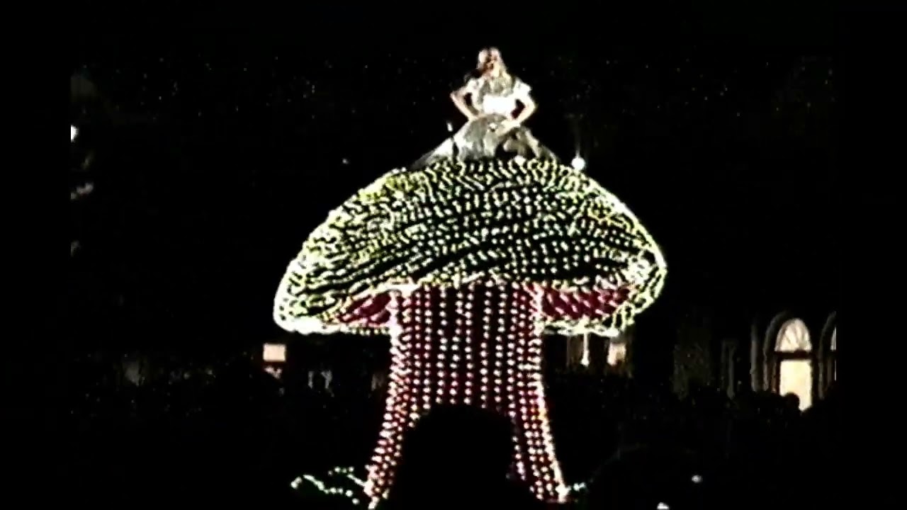 July 1995: Disneyland Fireworks & Electrical Parade