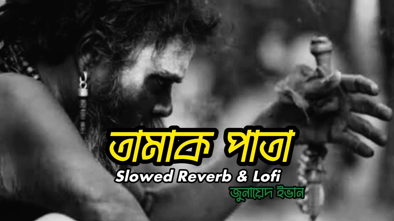 Tahmak pata- Lofi & Reverb || তামাক পাতা || Zunayed Evan Ashes || #ashes #lofireverb