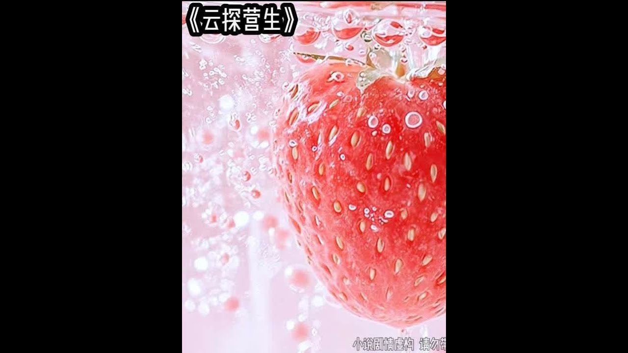 云探营生 #文荒推荐 #炒鸡好看小说 #适合女生看的小说推荐
