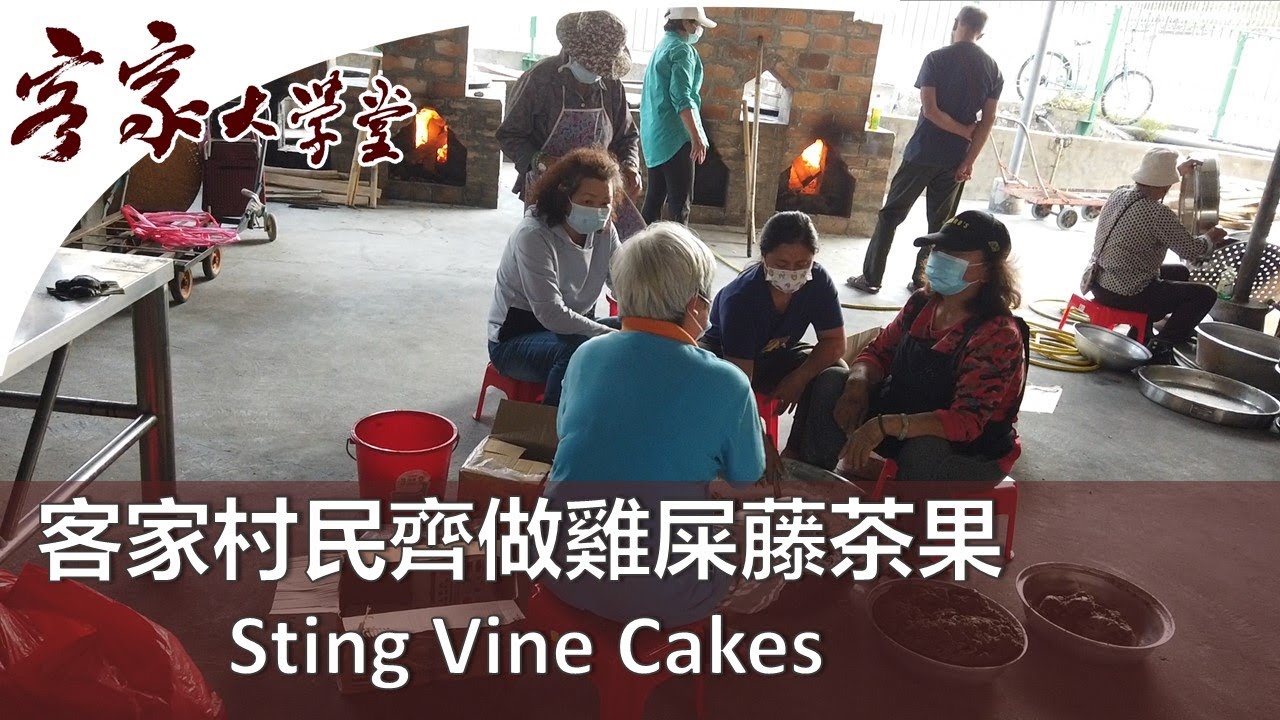 雞屎藤/清明仔：村民同心合力做茶果 『客家飲食』Hakka Food -- Villagers Make Sting Vine Cakes Together- very impressive