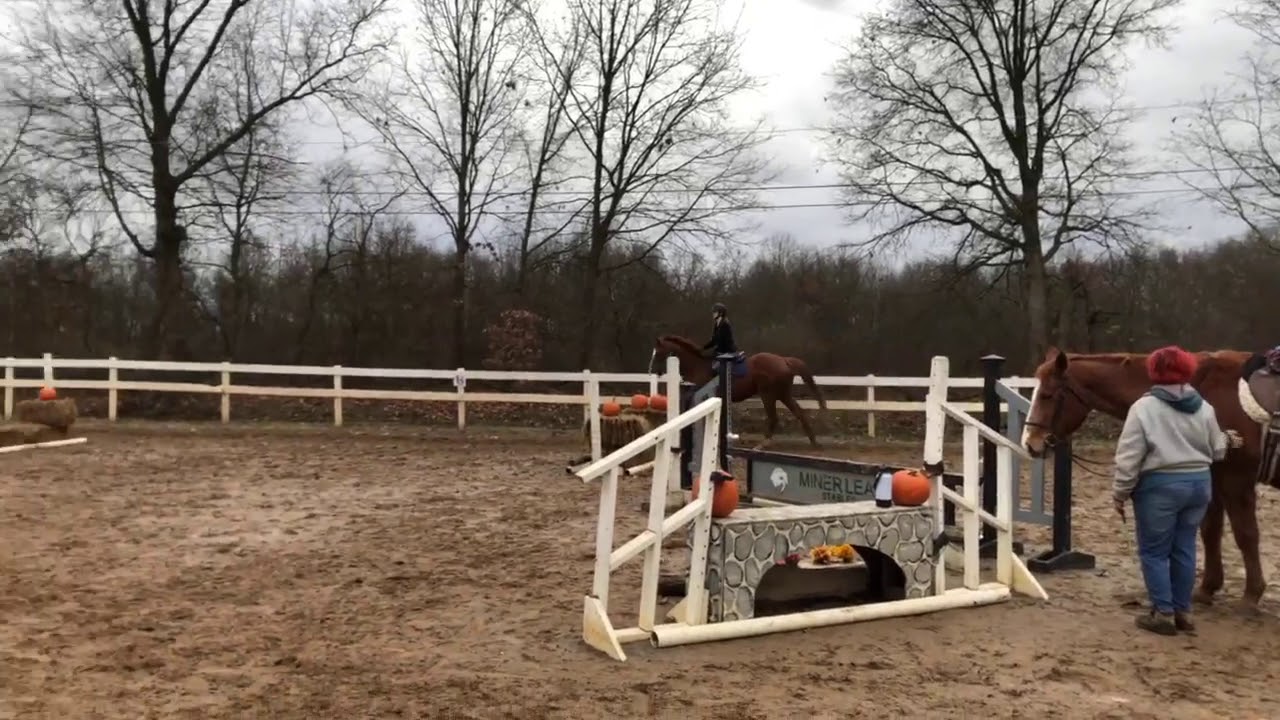 derby dreamer with junior rider