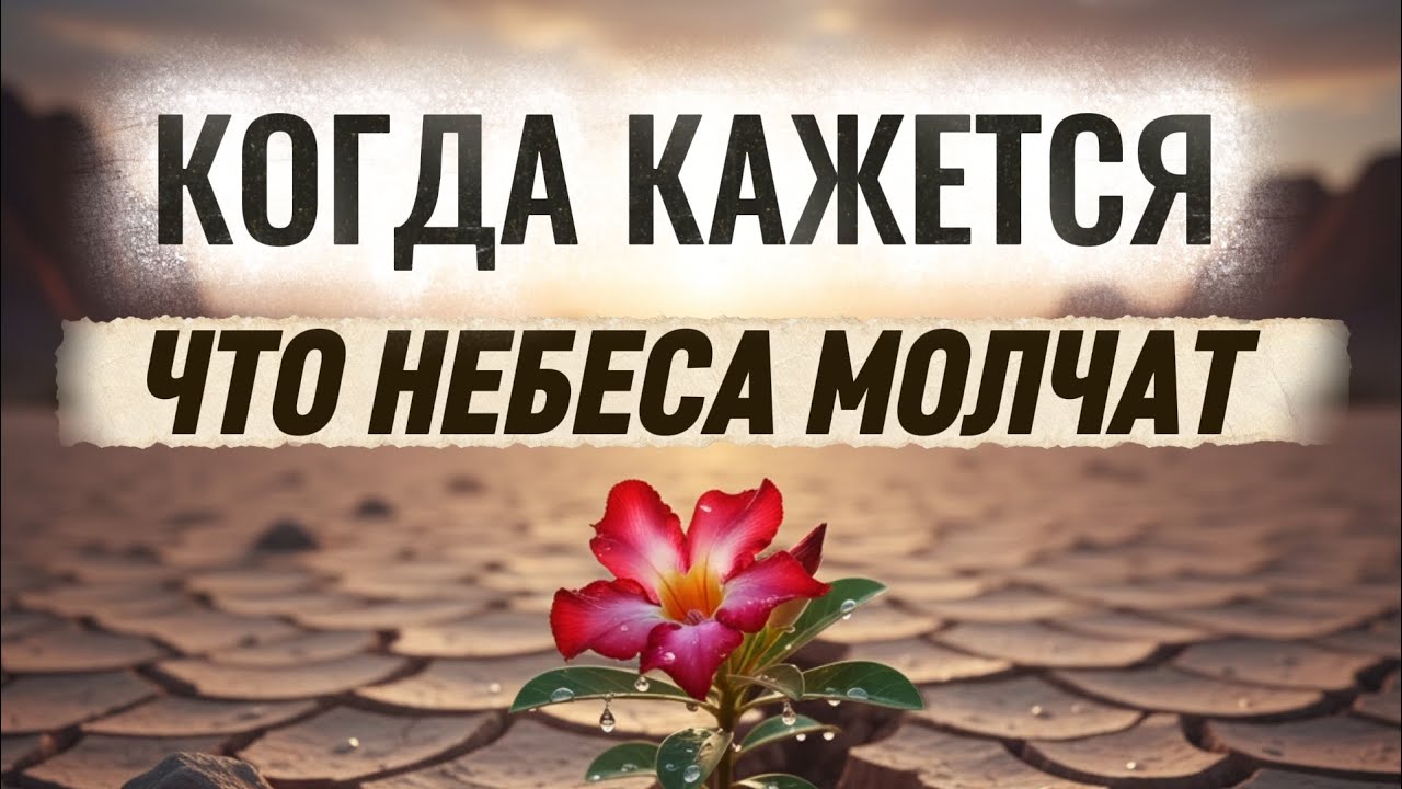 ПЕСНЯ НА СЛОВА: МАРИНЫ ВИЗНЮК — 