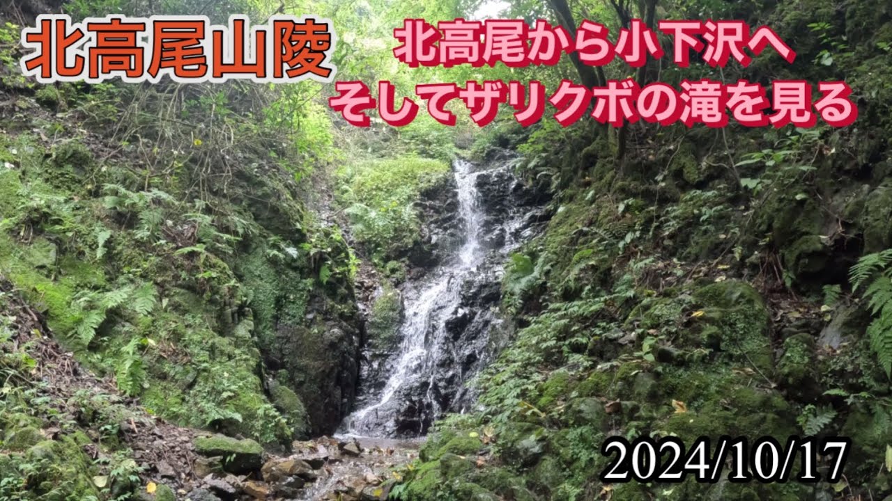 【高尾山】北高尾山陵から小下沢下りてザリクボの滝を見る