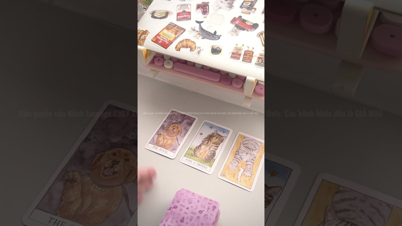 Only tarot || Tình cảm sắp tới của bạn như thế nào